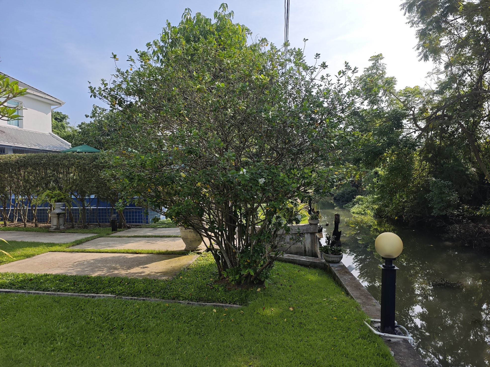 ภาพบรรยากาศ